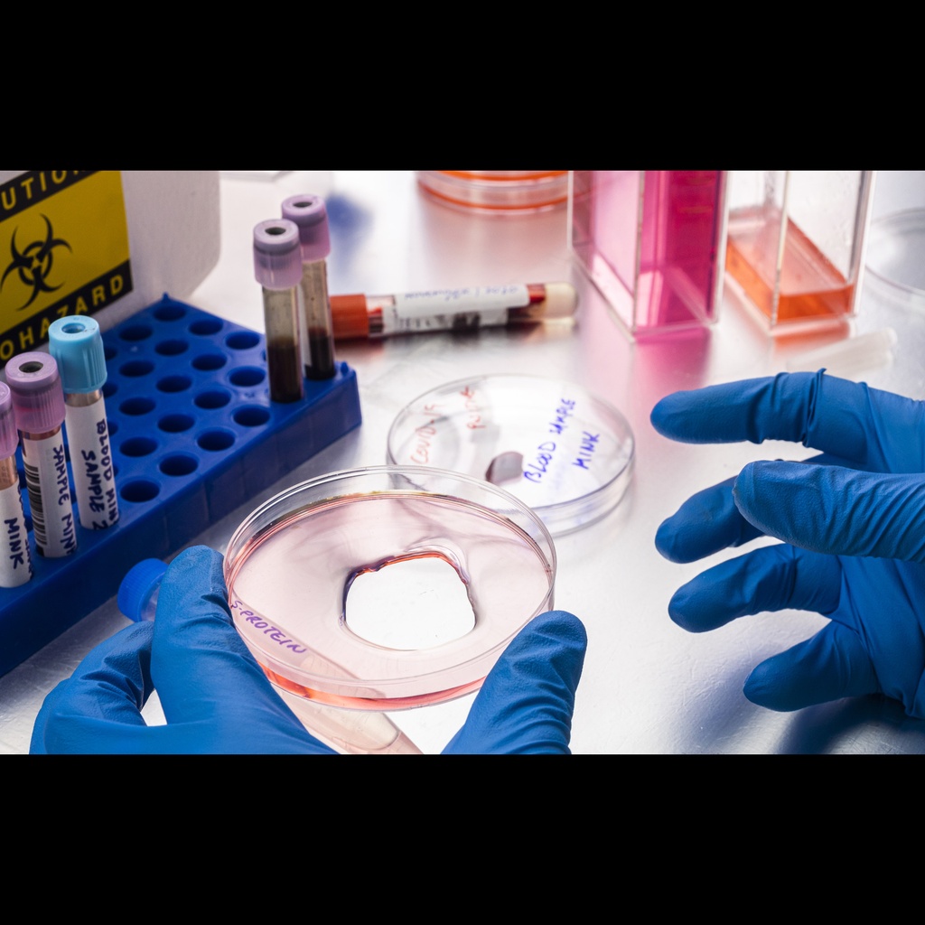gene 34085.1 E. Coli Recombinant Protein expressed in E.coli   1 mg